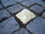 Object: Paving stone
